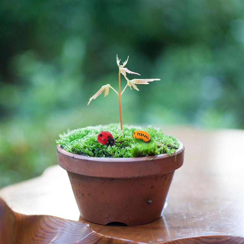 4Pcs Ladybug Plastic Garden Decoration Garden Accessories Growth Cycle Statues Decorations Life Cycle Figurines