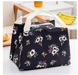 Frische Kühler Taschen Wasserdichte Tragbare Zipper Thermische Oxford Tote Lebensmittel Behälter Niedlich Taschen Für Frauen Bequem Lunchbox Tasche: 10