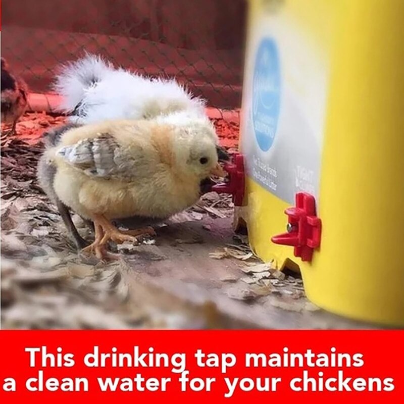Water Drinking Chicken Waterer Automatic Poultry Drinkers Tool Farm Drinker