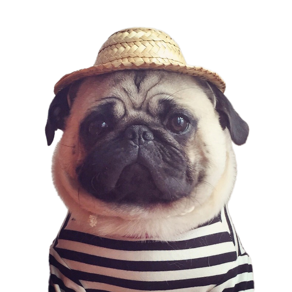 Rolig sommar sällskapsdjur katt keps solskydd hawaiiansk stil halmhatt för liten hund valp foto rekvisita trimtillbehör