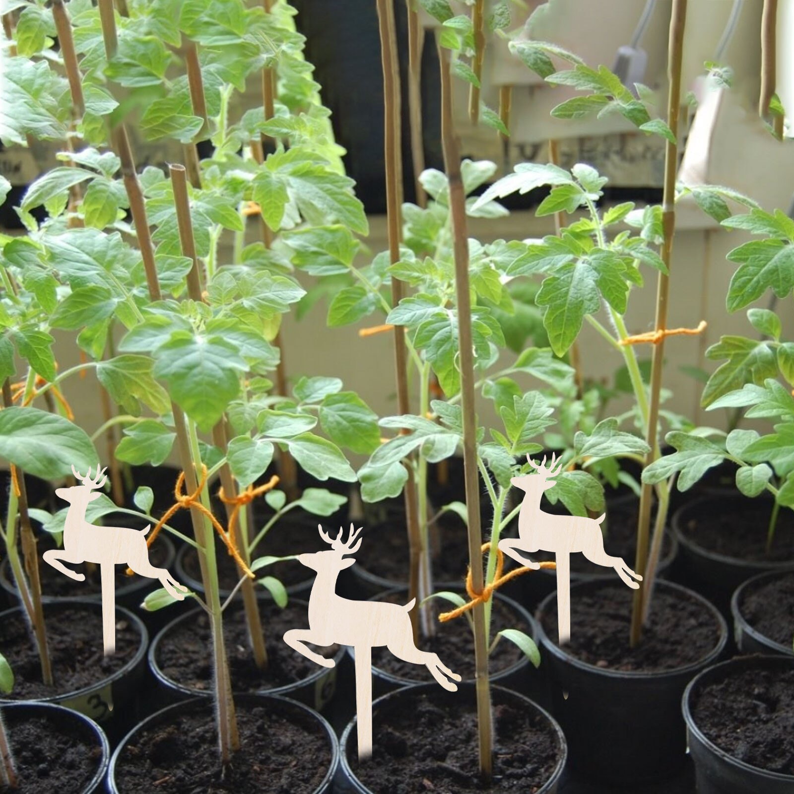 Letreros con etiquetas para plantas, etiquetas creativas de madera para jardinería, tipo T, decoración creativa de flores para jardín y guardería, bandeja para semillas, 10 Uds.