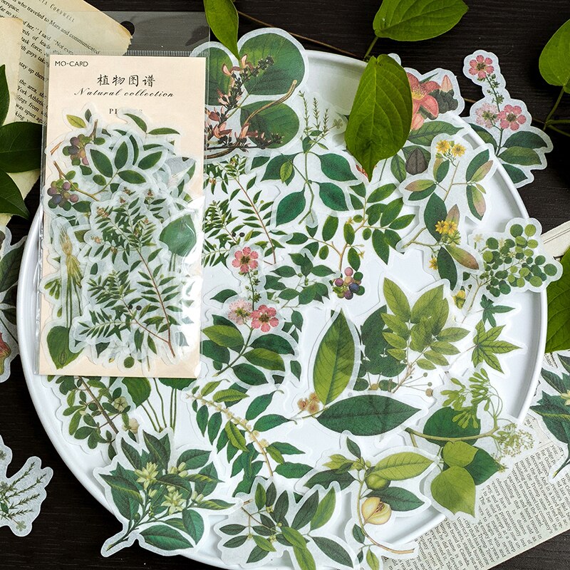 12 set/1 lot Stationery Stickers Paper Natural leaves Diary Planner Decorative Mobile Stickers Scrapbooking DIY Craft Stickers: ZhiWuTuPu