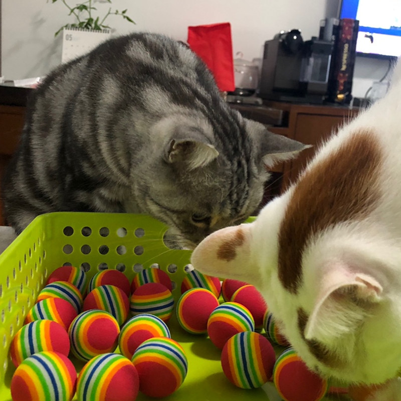 Kat Levert 3.5cm Kat Bal Speelgoed voor Puppy Kat Interactieve Spelen Chew Speelgoed Rammelaar Kras EVA Ball voor Pet kat Training