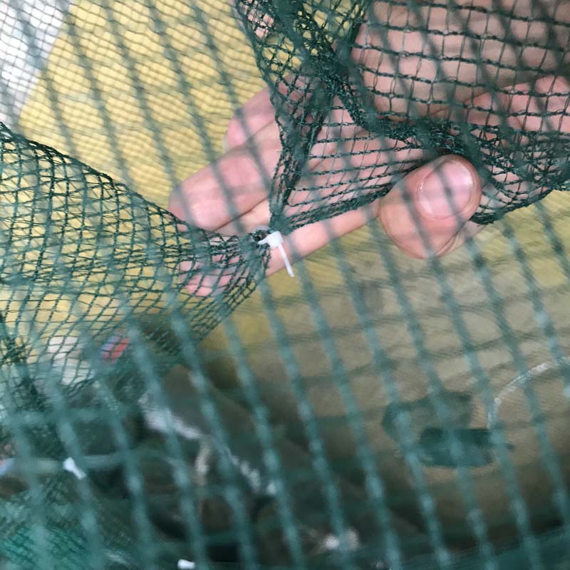 60-62 cm Gevouwen Ronde Visnet Gebruik Hexagon 6 Gaten Kooi Minnows Krab Kreeft Netto voor Garnalen Minnow Rivierkreeft Krab