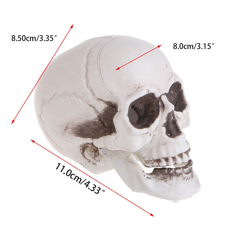 Plast menneske mini hodeskalle dekor rekvisitt skjelett hode halloween kaffebarer ornament