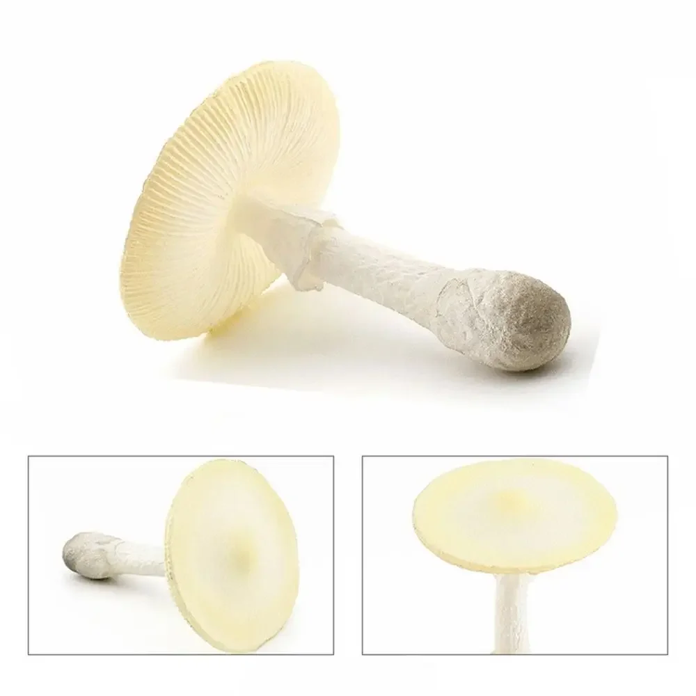 Modelo de vegetais estatuetas de fungos matsutake oyste simulação artificial cogumelo pleurotus planta modelo de fungo decoração de jardim: Borgonha