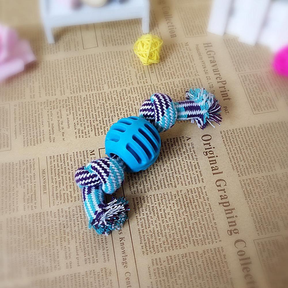 Wear Resistant Clean Teeth Training Double Knot Do... – Grandado