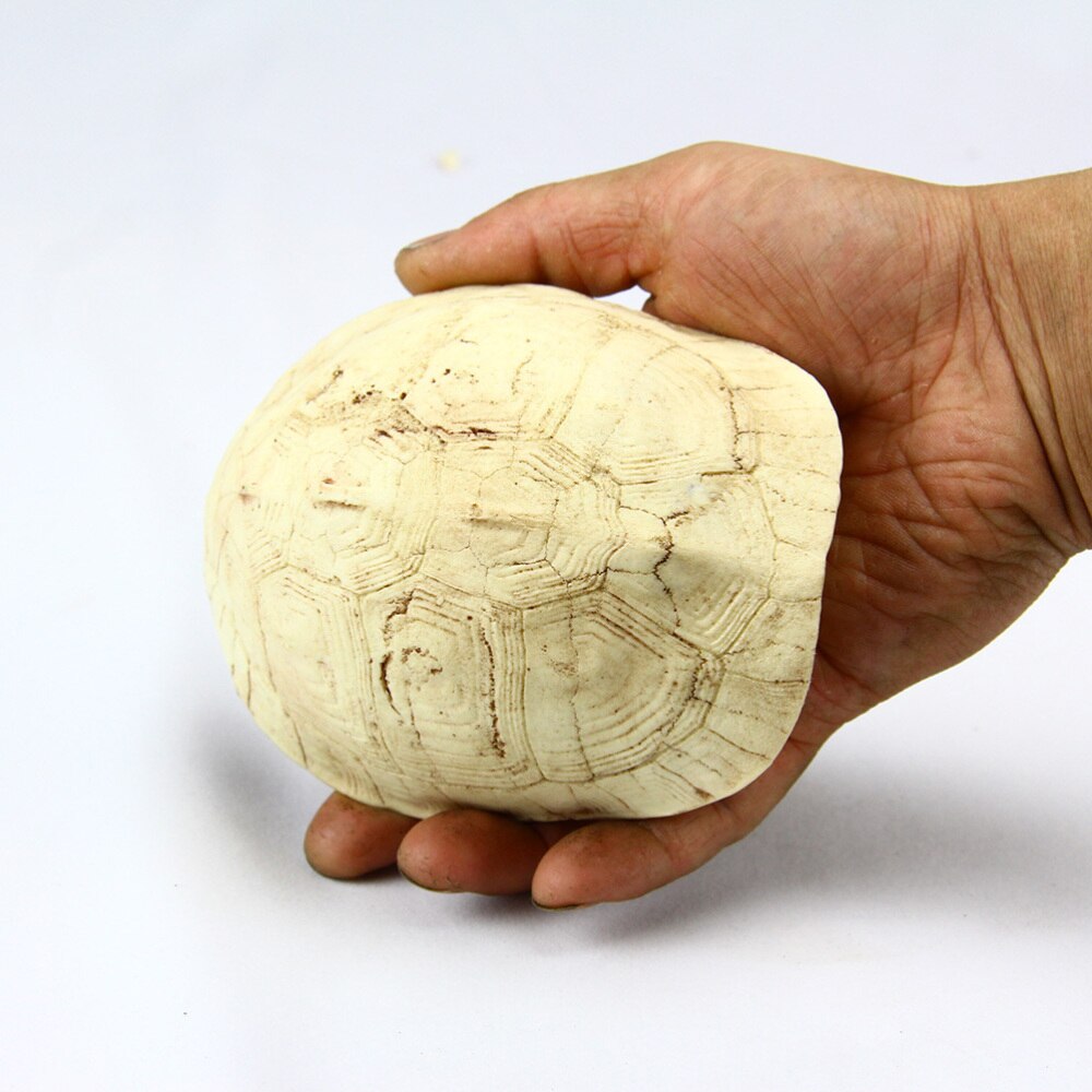 1pc Resin Cave Turtle Shell Hide Acrawl Decor Reptile Cave for Chameleon Spiders Earthworm