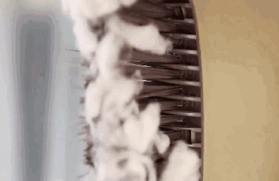 Obrotowa szufelka z miotłą składana miotła wiatroodporna wyłapywacz włosów o dużej pojemności szufelka z grzebieniem zamiatarka zębów Dropship