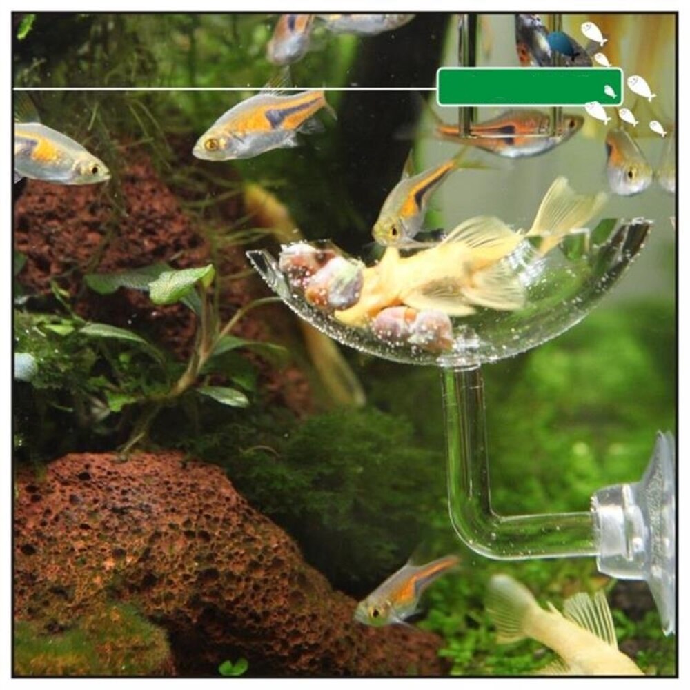 Akvarium akvariefoder akvarium räkor matning skål maträtt med silikon sugkopp mat behållare