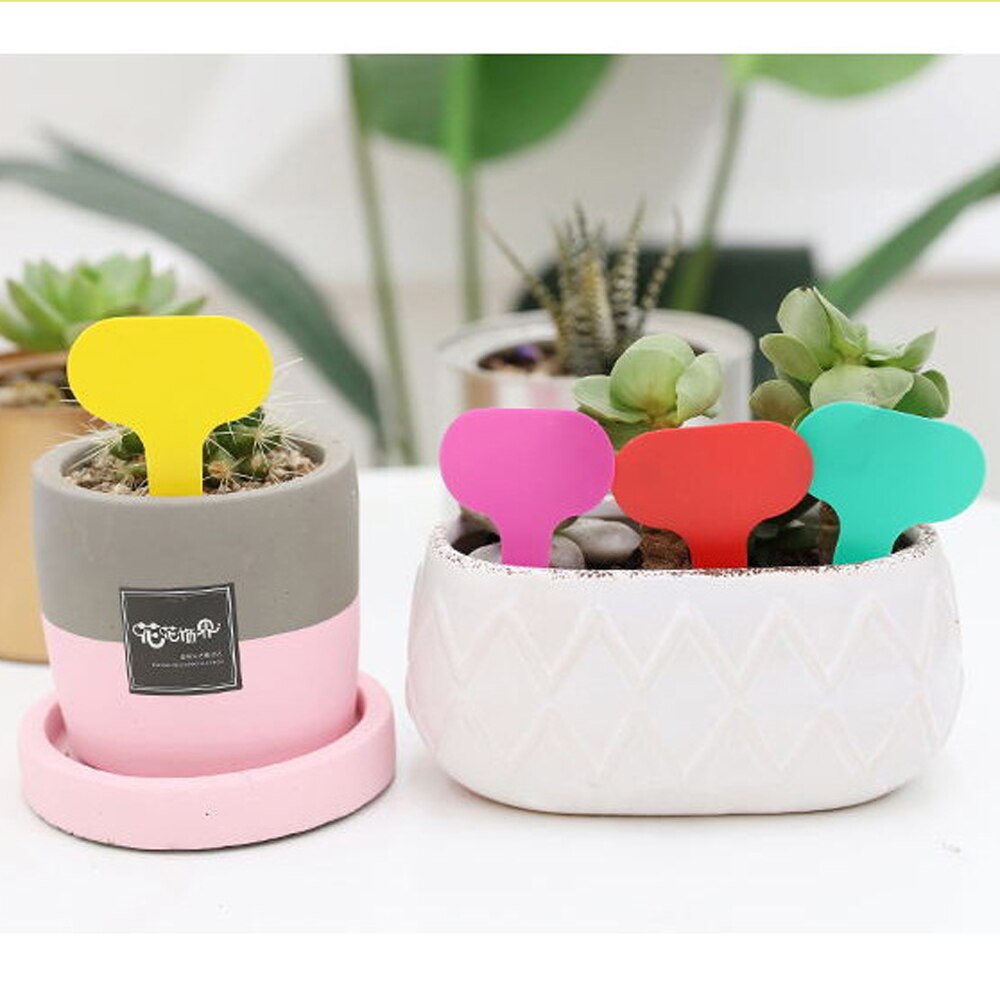 100Pcs Tuin Labels Nursery Potplanten Zaailing Labels Lade Markering Gereedschap Waterdicht Herbruikbare Gemengde Kleuren