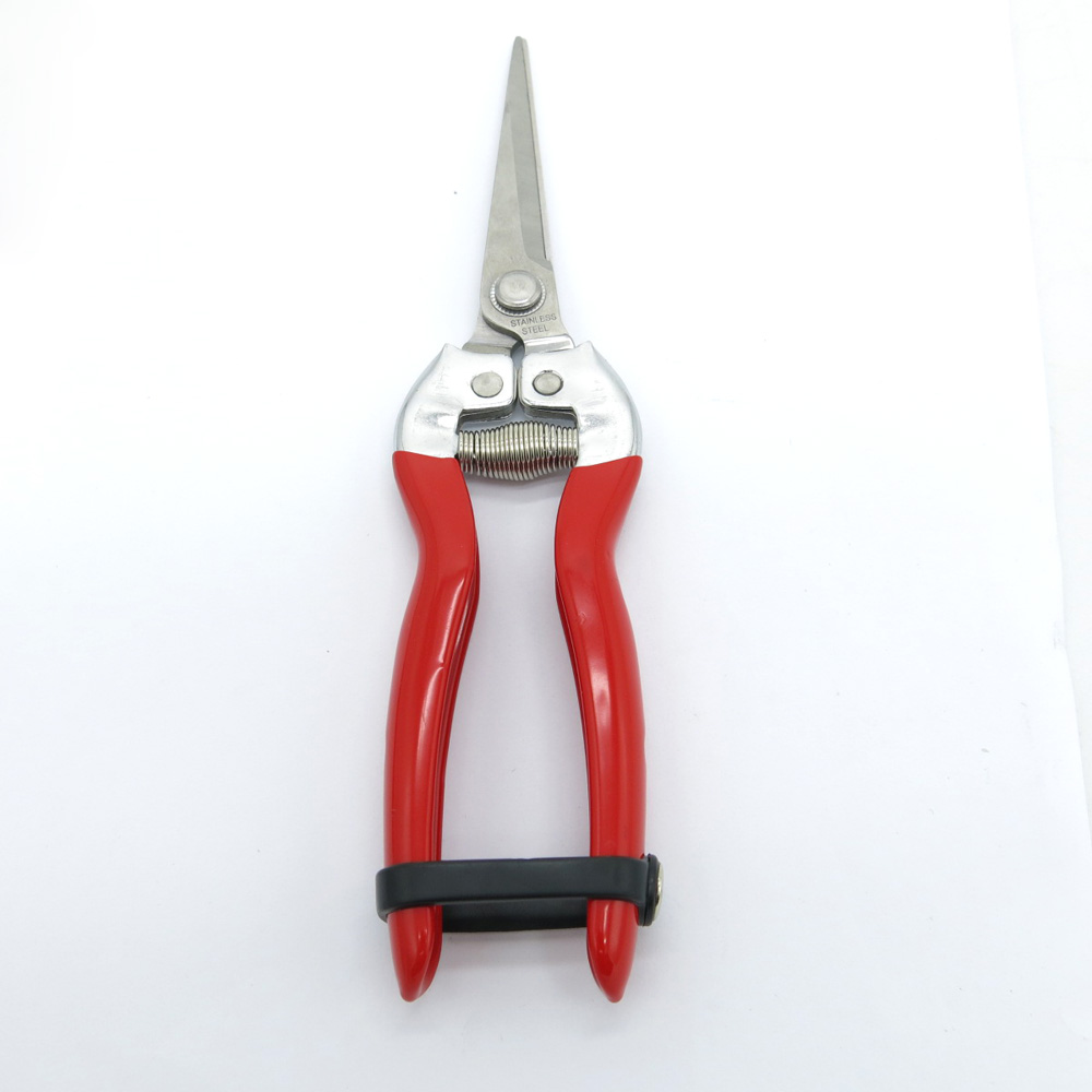Gartenschere obst baum gartenbau begrünung beschneiden garten zange edelstahl schere Cutter blume zweig werkzeuge: WS05