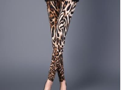 Grote Maat Lente Herfst Slijtage Onderbroek Dunne Luipaard Print S Vrouwen Elastische Broek Been Buikdans Broek: style 2