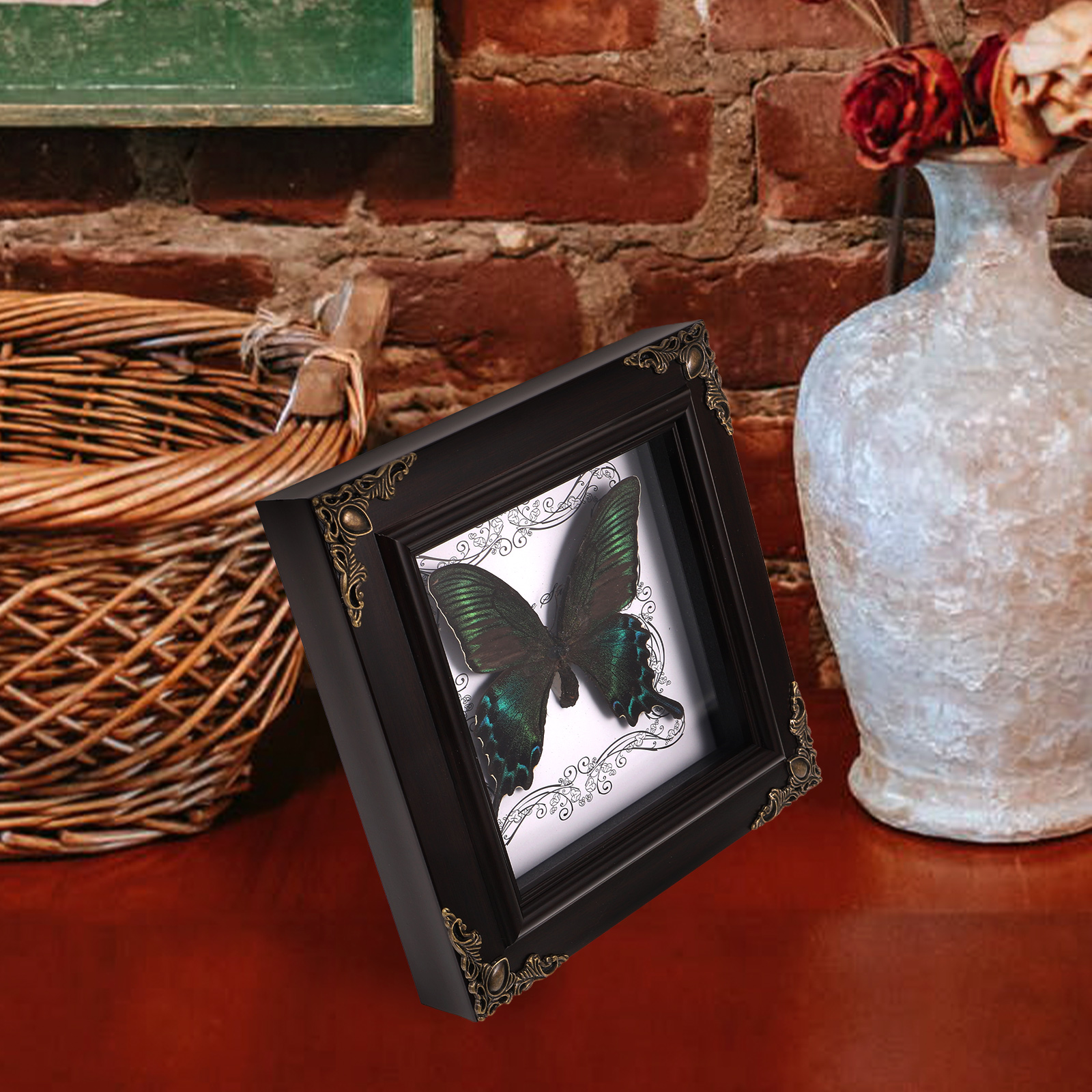 Foto de taxidermia enmarcada de mariposa Real, decoración Vintage, marcos de exhibición Retro