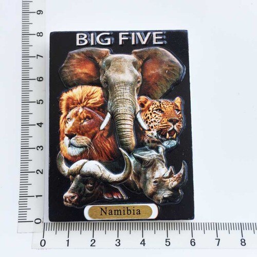 Afrika namibia turist køleskab magnet souvenir 3d harpiks køleskab magneter til køkken tilbehør dekoration hjem: 4