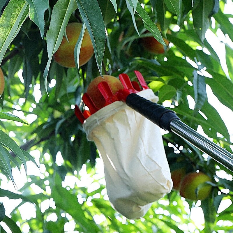 Fruitplukker Hoofd Mand Metalen Vruchten Catcher Tuinieren Farm Fruit Plukken Apparaat Gereedschappen