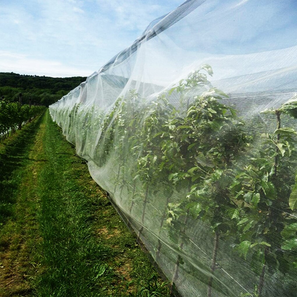 Filet en maille pour légumes, filet anti-insectes Ultra-fin en Nylon, couverture, réutilisable, pour plantes de serre