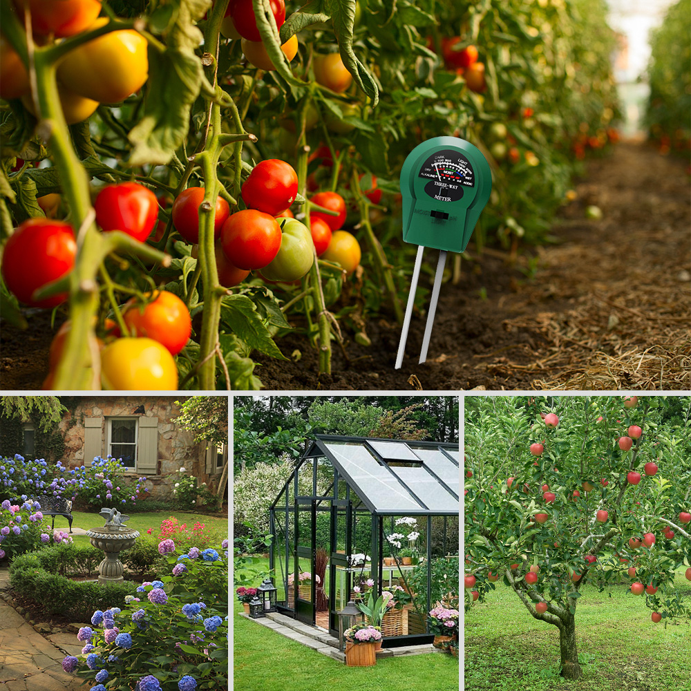 Pointer Soil Tester 3 in 1 Light/ PH/ Moisture Testing Multifunction Soil Test Probe Portable Soil IlluminationPH Humidity Meter