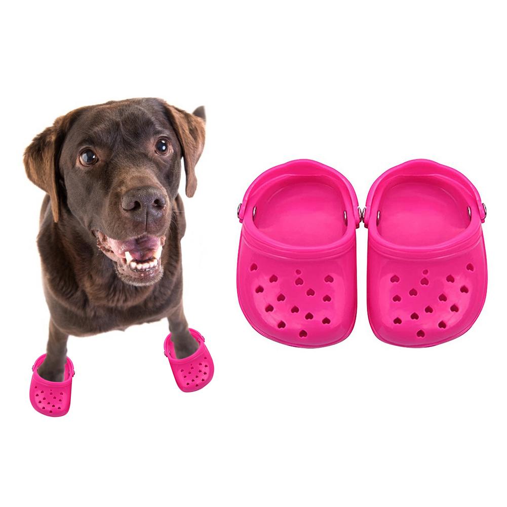 Haustier Schuhe Atmungs Sandalen Für Kleine Hunde Süssigkeit Farbige Löchrigen Schuhe Sommer Hund Schuhe Atmungsaktives Gittergewebe Welpen Für Kleine Haustier: rot