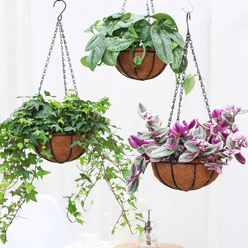 Cesta de flores colgantes de Metal, con forro de cáscara de Coco, colgante para exteriores decorativo de 10 pulgadas, 5 uds.