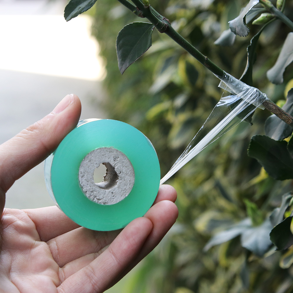 100M/roll Grafting Tape Garden Tools Fruit Tree Secateurs Engraft Branch Gardening bind belt PVC tie Tape Plant Tree Tape