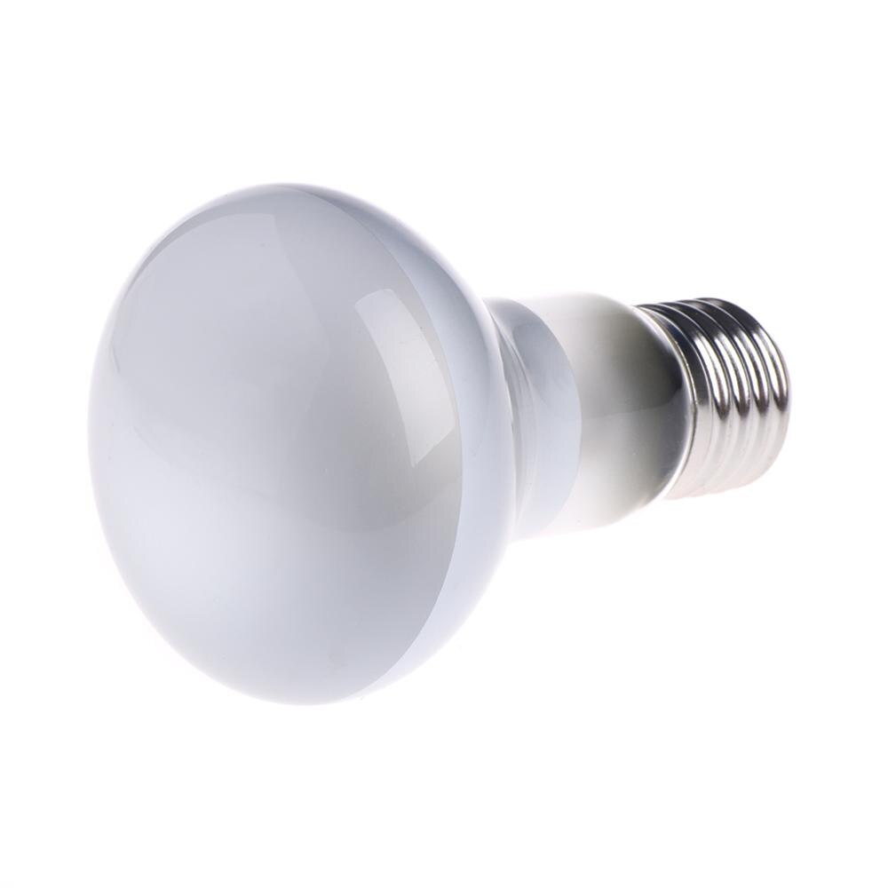 Reptile Amphibian Heat Bulb 220-240V 25W50W75W100W Infrared Emitted Night Light: White / 75W