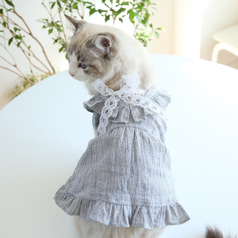 Robe Vintage en dentelle à col creux pour chien et chat, vêtements pour animaux de compagnie, yorkshire, Chihuahua, vert, gris,