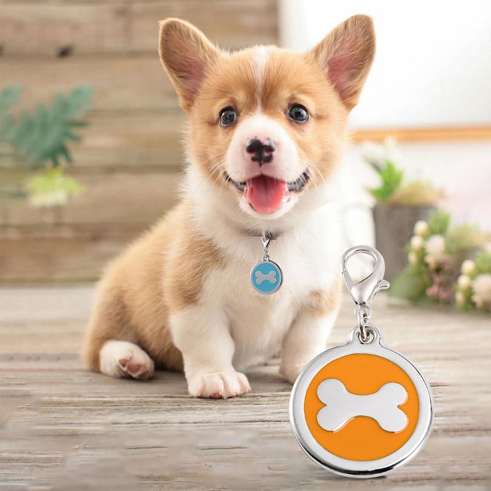 Porte-clés en métal gravé Anti-perte pour chien, fournitures de décoration pour animaux de compagnie, accessoire de collier en os pour chiot et chat d'extérieur