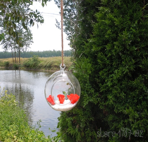 Globe transparent en verre rond à suspendre en 6/8/10cm, 8 pièces, Terrariums à plantes, boules de fleurs, Vase de fleurs pour décorations de mariage, à monter soi-même