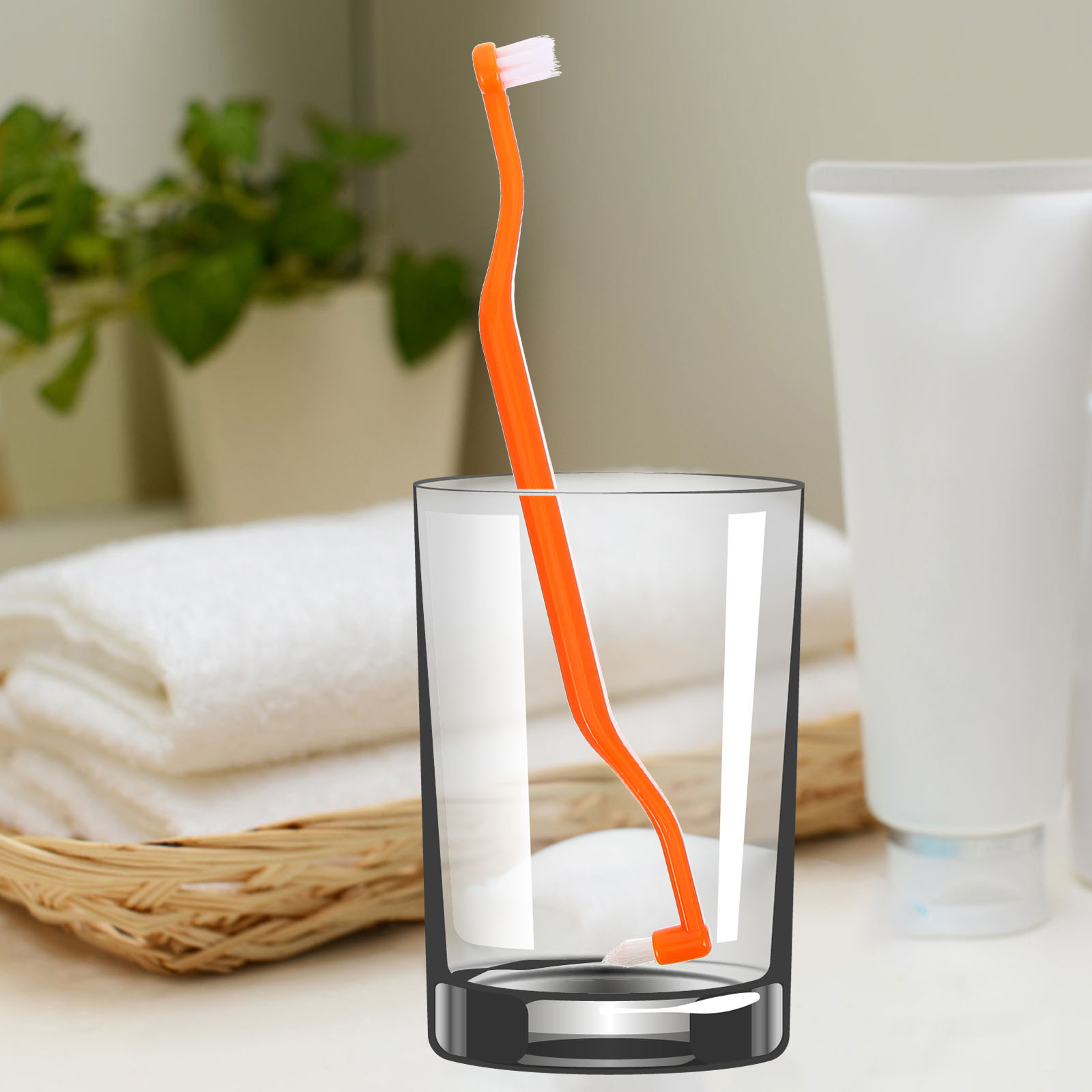 4-delig detailreinigingsgereedschap Gum End Tuft Tweekoppige tandenborstel Ragerborstels Compact met plastic