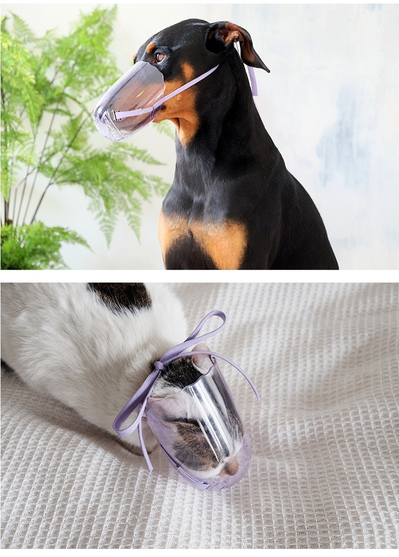Muselière transparente Anti-morsure pour chat, couvre-chef Anti-morsure pour chaton, masque de bain, toilettage, accessoires pour chats