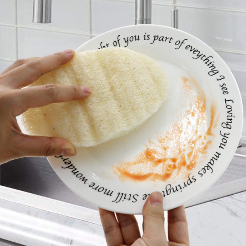 Naturlig luffasvamp disktrasa luffa skurdyna ekologisk plantering hushållskök ren borste diskmaskin