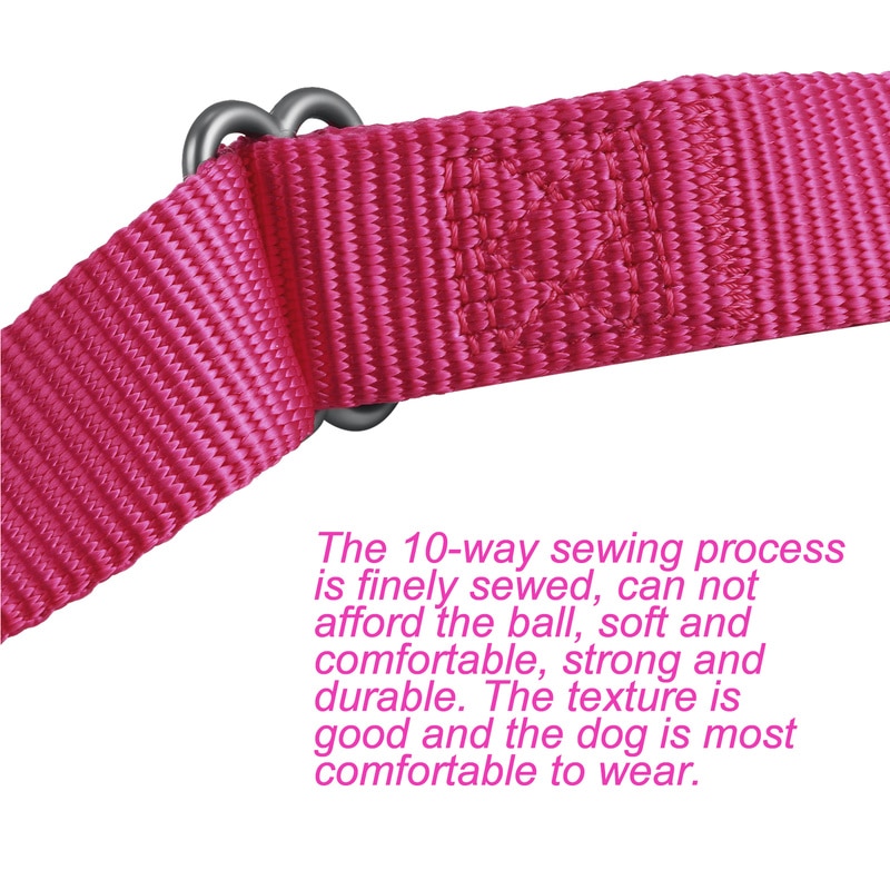 Collier pour chien robuste en Nylon, réglable, boucle pour chien, pour grands, moyens et petits chiots Husky, fournitures S/M/L HY138