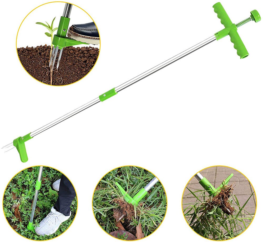 Extracteur sur pied pour pissenlit, outil de désherbage de jardin, extraction et ramassage de racines manuel à haute résistance