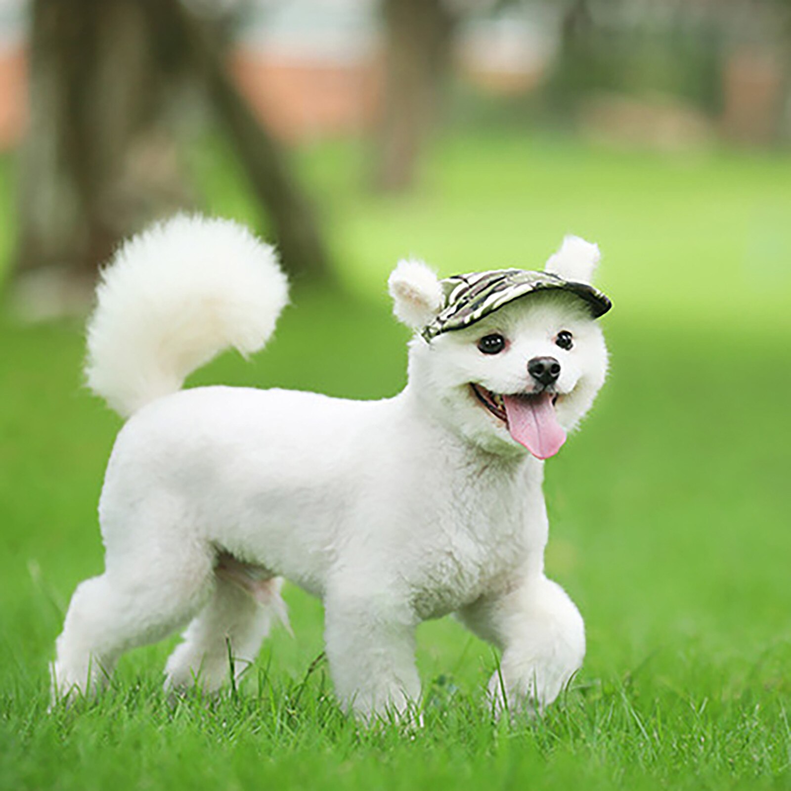 TAILUP Small Pet Summer Canvas Cap Dog Baseball Visor Hat Puppy Outdoor Pet Cap