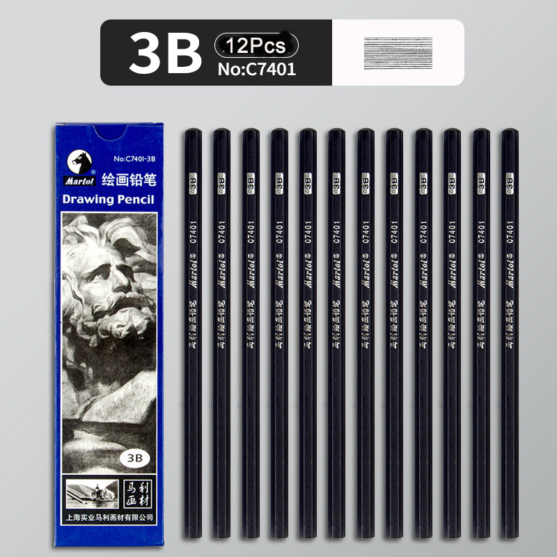 12Pcs 2H HB B 2B 3B 4B 5B 6B 7B 8B 12B 14B Sketch Drawing Graphite Shading Charcoal Pencils Set Sketching for Artists Beginners: Navy Blue