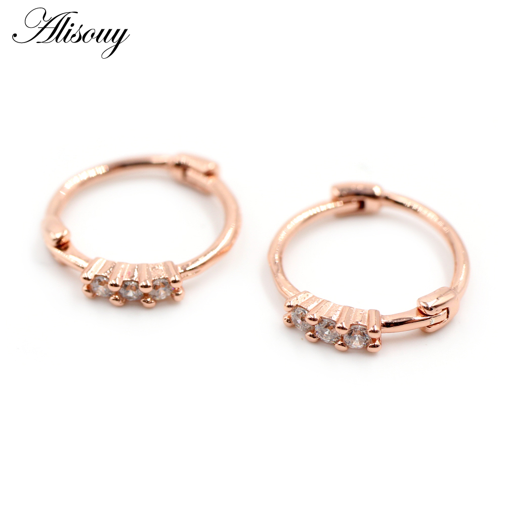 Alisouy 2 Stuks Koperen Mannen Vrouwen Cz Zircon Huggies Kleine Hoepel Oorbellen Oor Kraakbeen Piercing Helix Tragus Daith Conch Body sieraden: EM1349E Rose Gold / 10mm