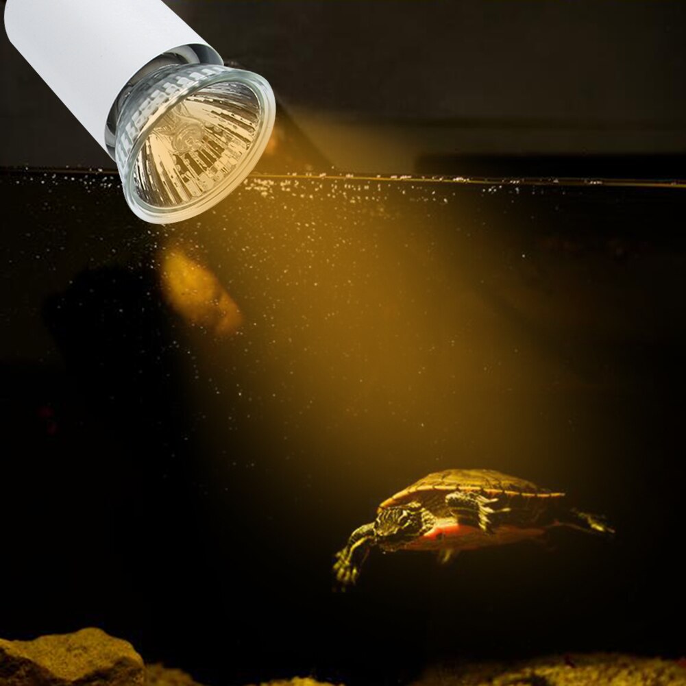 CN 220V Reptile Pet Sun Light UVA UVB Lamp Clip Lights For Turtle Lizard Habitat Tank Tortoise Tank Light Tortoise Tank Light