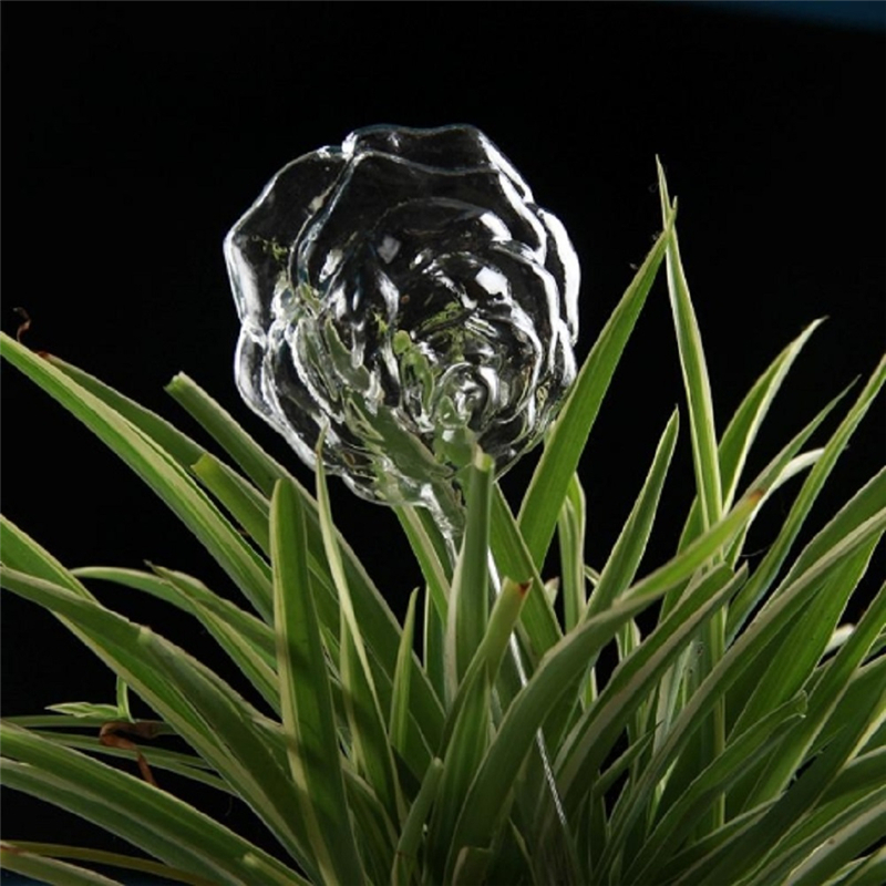 Plantevandingsindretning 6 former husplanter blomster vandføder automatisk selvvandende udstyr klar glas vandføder fugl: Rose