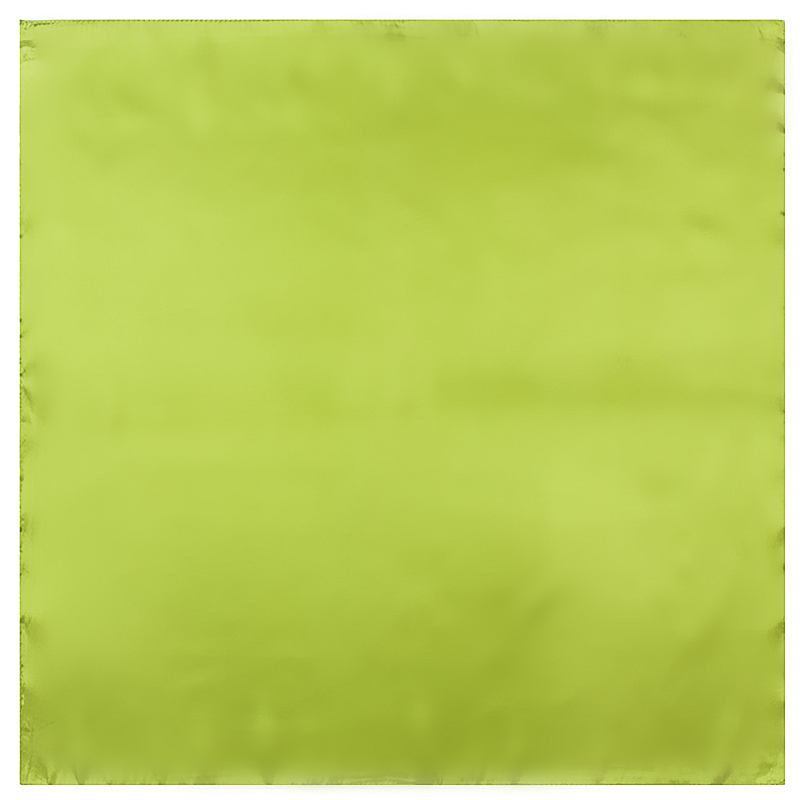 60cm primavera nova monocromática cor sólida ocupação feminina moda decoração pequeno lenço quadrado lenço de seda lenço de cabeça pequeno cachecol: Verde