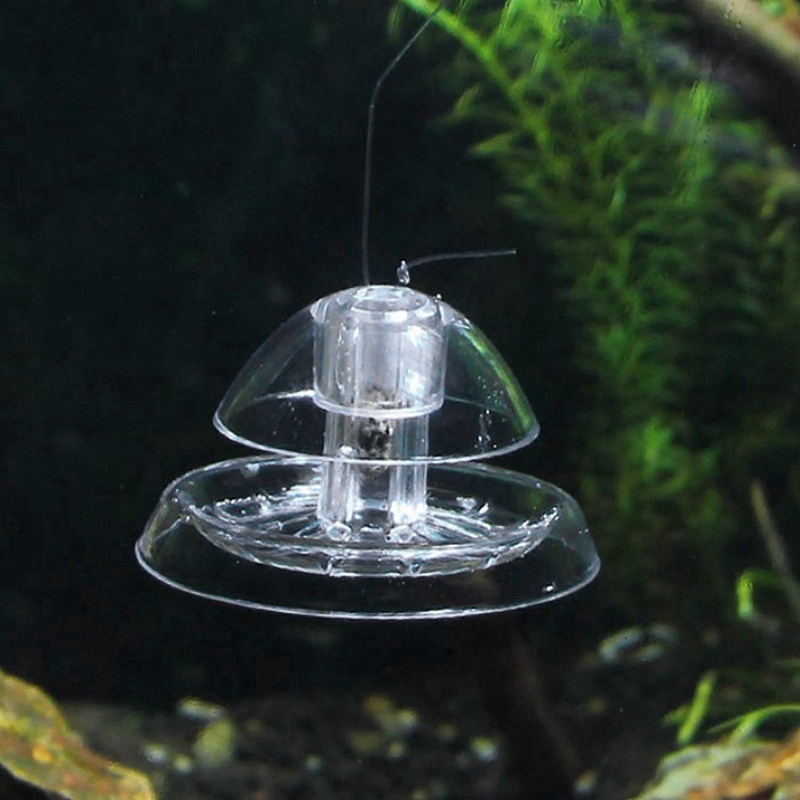 Piège à escargot pour Aquarium 6Cm, 2 pièces, en plastique transparent, attrape-sanglier planaire