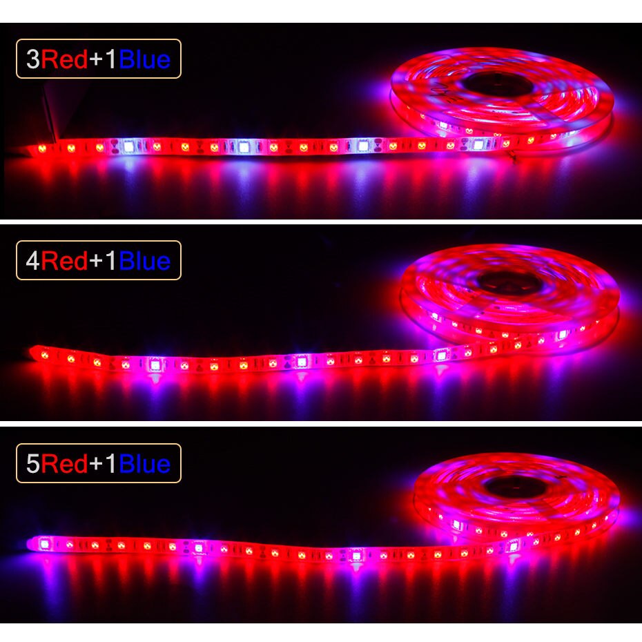 LED Strip licht groeien 5050 Chip 5M DC12V LED PhytoLamp Volledige Spectrum Fitolampy verlichting voor planten Kas Hydrocultuur Zaaien