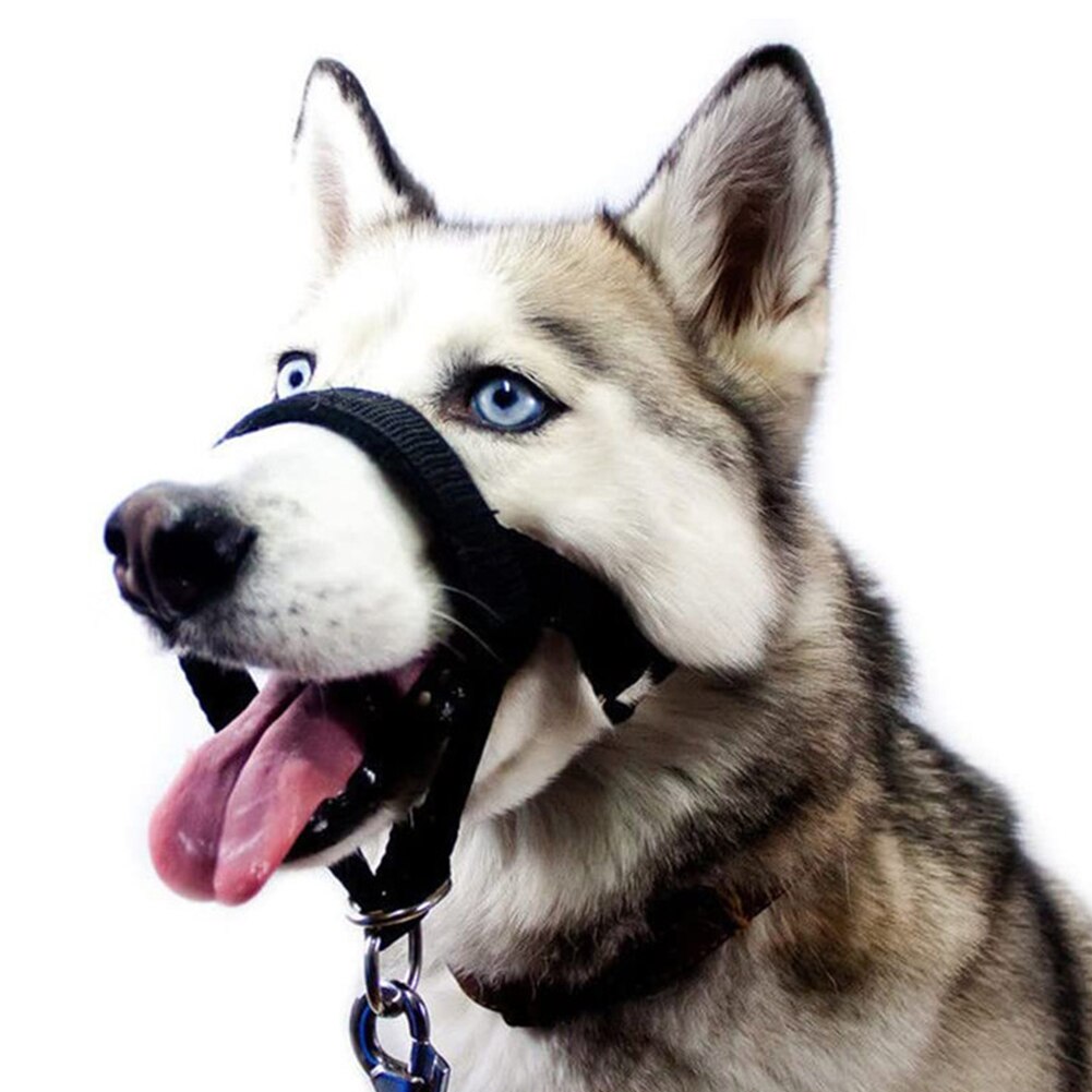 Voorkomen Blaffen Hond Mond Cover Leash Verstelbare Lus Anti Bijten Hond Snuit Nylon Outdoor Walking Training Duurzaam Dierbenodigdheden