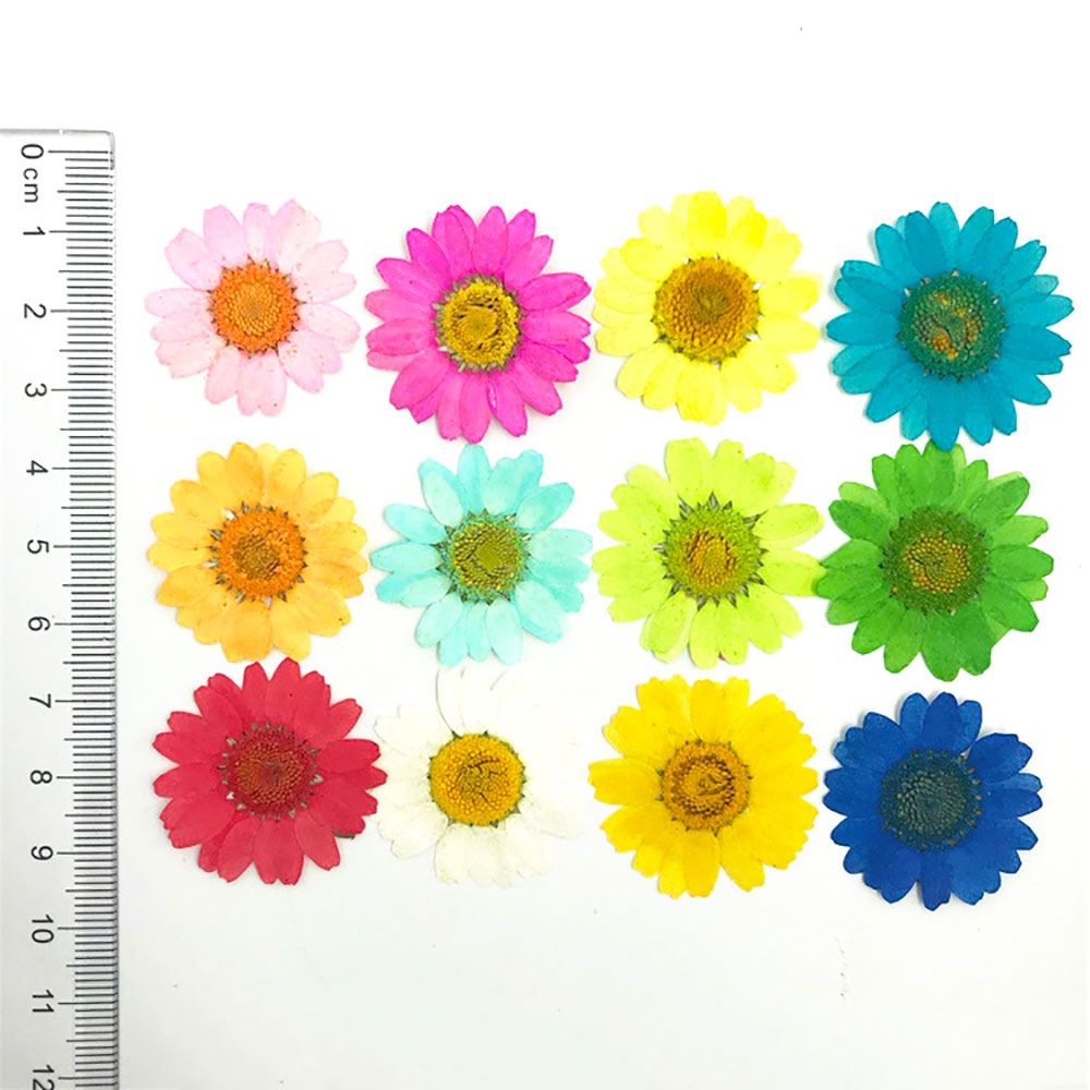 Silicone world Dried Flower Dry Plants For Epoxy Resin Pendant Necklace Jewelry Making Craft DIY Accessories UV Expoxy Flower