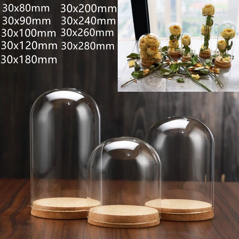 5pcs Clear glass display dome with wood base Display Stand dry flower plant Box for bedroom living room office decor Display