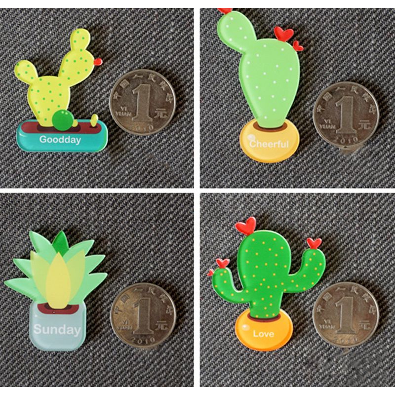 Cactus Netten Koelkast Netto Koelkast Netto Cactus Keuken Netten Fun Netten Decoratieve Netten Leuke Netten (Succulent)