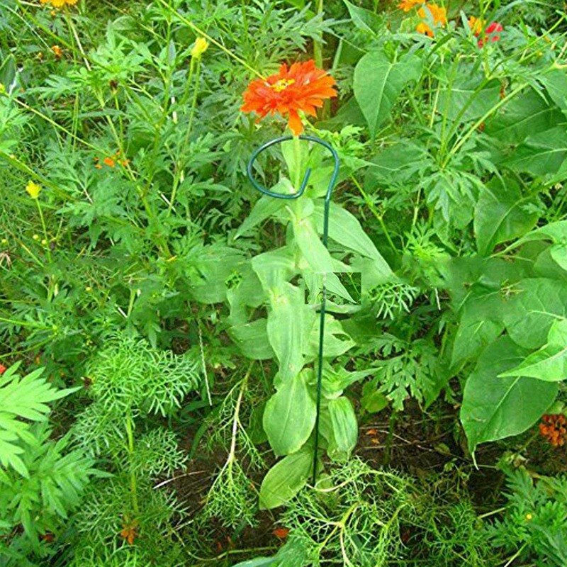 8 st 17.7 tums trädgård blomstöd plant stöd stakar plant stam blom stöd för blommor orkidé pion ros