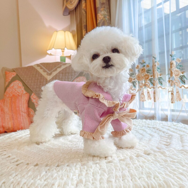 Costume per cani di piccola taglia moda carino abbigliamento per cani abbigliamento per cani cappotto per maglione gatto Chihuahua York pomerania Shih Tzu cucciolo di barboncino malese abbigliamento