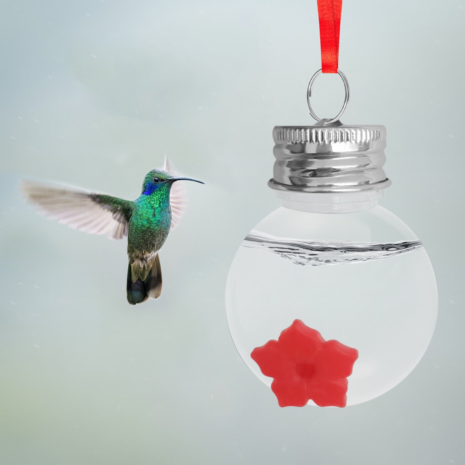 Hummingbird Mini Feeder Hummingbird Water Hangings Feeder Bird Feeders Garden Decor Hummingbird Feeding Tools Mini Feeding Tools
