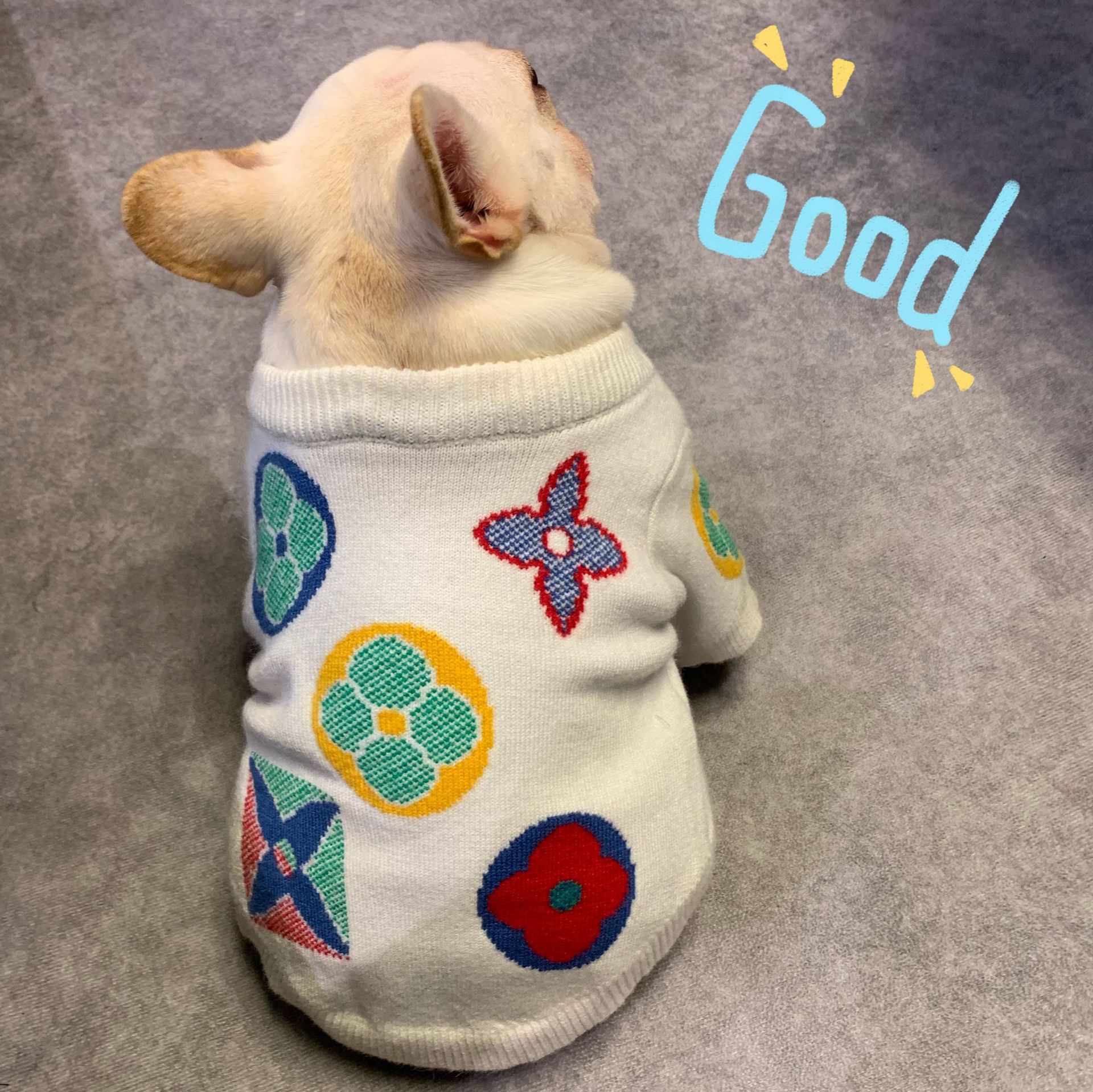 Leuke Hond Kleding Pug Pitbull Luxe Kleding Voor Katten Pet Product Hondenkleding Voor Kleine Middelgrote Honden Trui Hond Accessoires